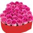pink heart box roses valentine vietnam