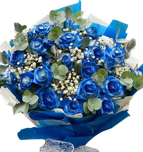 24 blue roses womens day