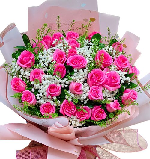 24 pink roses womens day