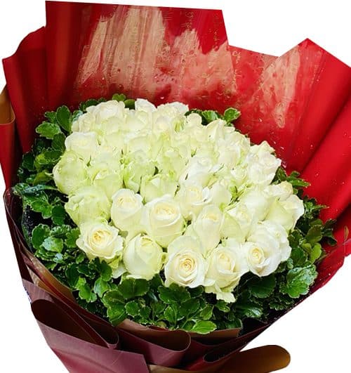 24 white roses womens day