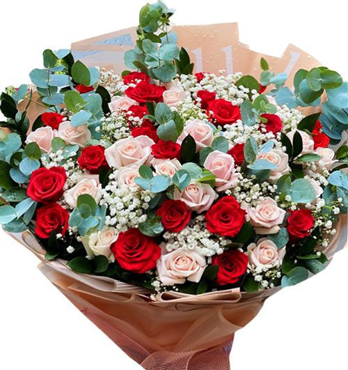 48 mixed roses womens day