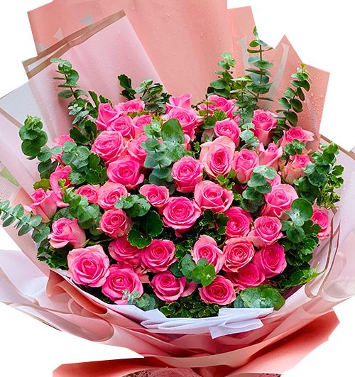 48 pink roses womens day