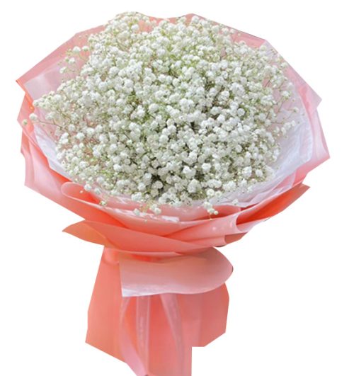 Baby Breath’s Flowers For Mom 05