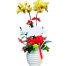 potted orchids for mom 12