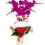 potted orchids for mom 15