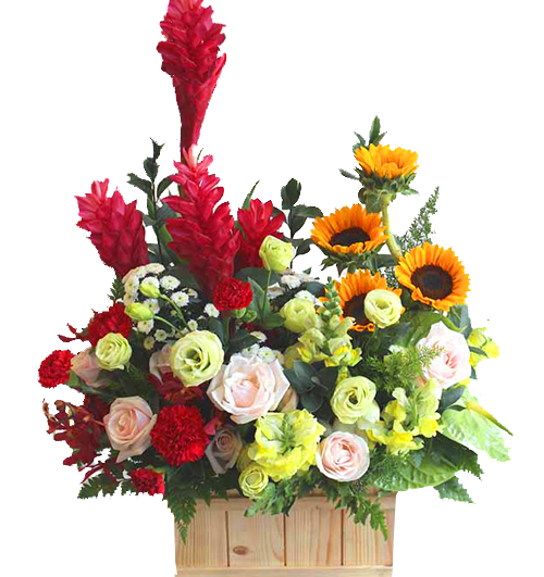special flowers for dad 07 500x531