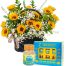 special gifts mothers day vietnam 13