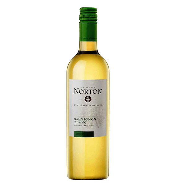 norton coleccion sauvignon blanc champagne