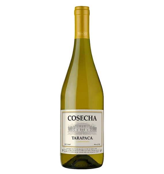 tarapaca cosecha chardonnay champagne