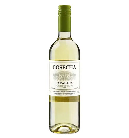 tarapaca cosecha sauvignon blanc champagne