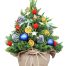 fresh-christmas-tree-012