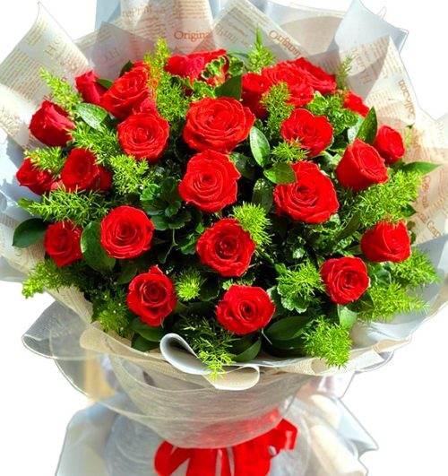 christmas-roses-24-red