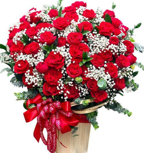 special-christmas-flowers-12