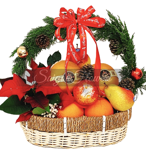 special-christmas-fruits-13