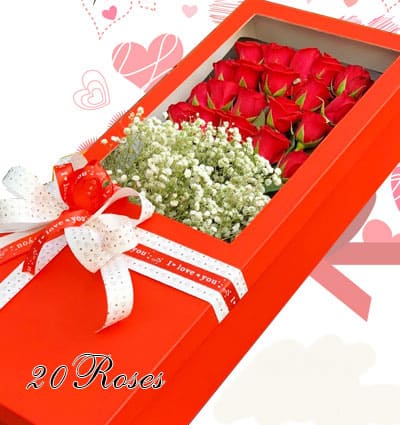 roses-for-valentine-008