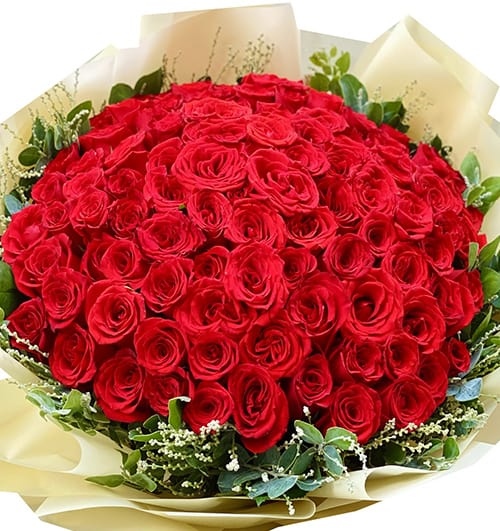 roses-for-valentine-012