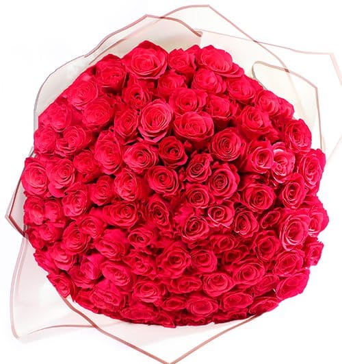 roses-for-valentine-013