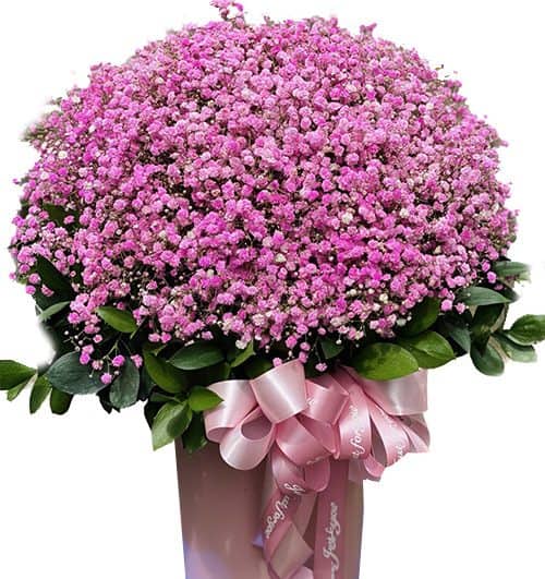 special flowers for valentine 052