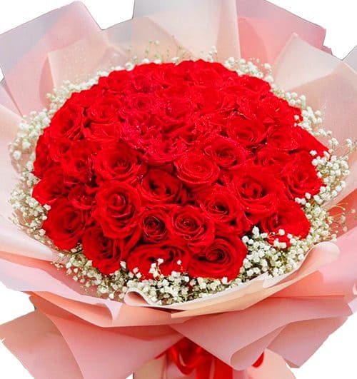 special-flowers-or-valentine-005