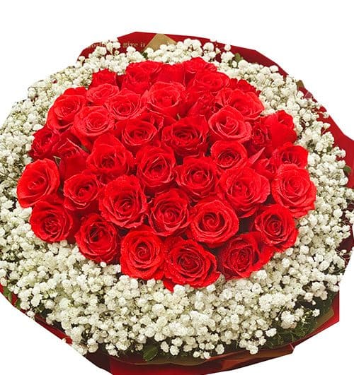 valentine-36-red-roses-02