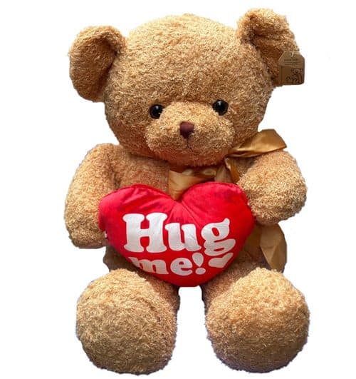 Brown Teddy bear hug me