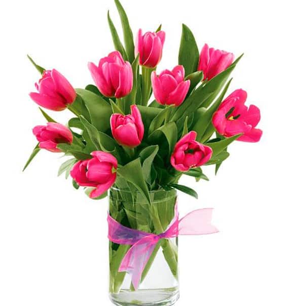 tulip flowers in vase 03