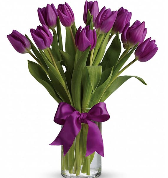 tulip flowers in vase 06