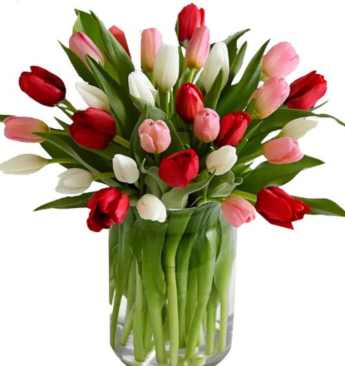 tulip flowers in vase 09