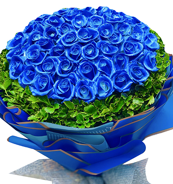 48 blue roses