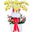 potted orchids for mom 20