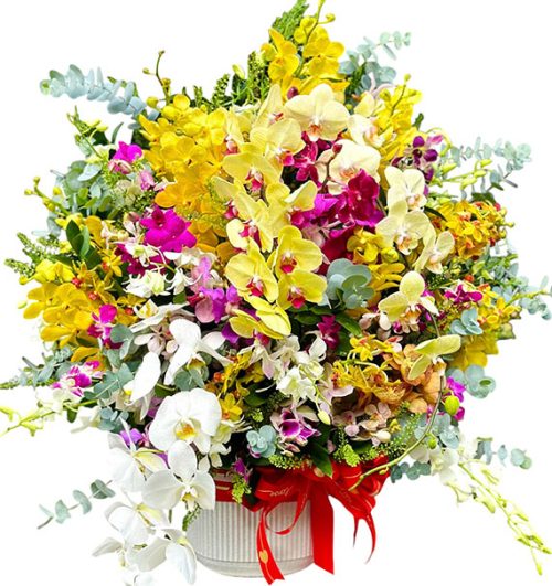 special mothers day orchids 14