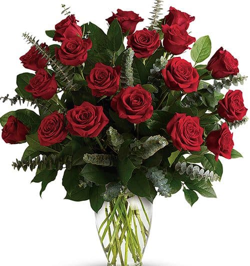 18 red rose in vase 500x531