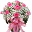 20 pink rose in vase 500x531