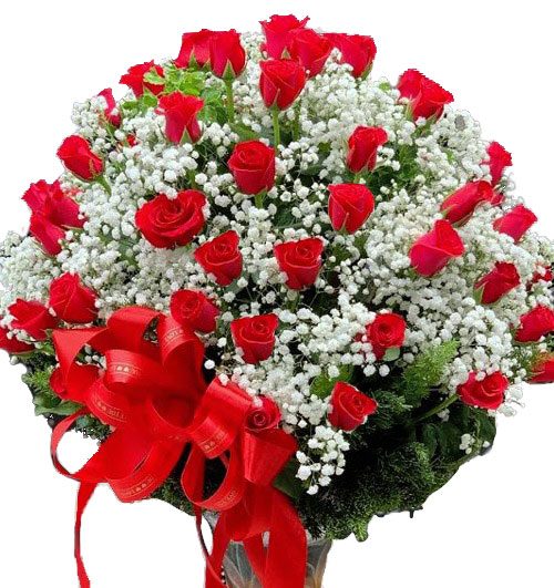 36 Red Roses In Vase Vietnam 500x531
