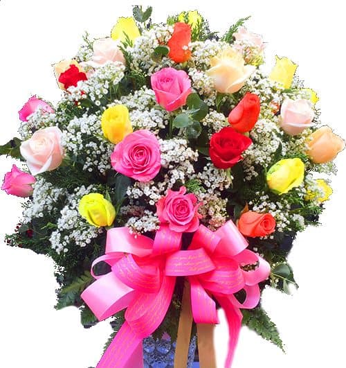 36 mixed roses in vase 500x531