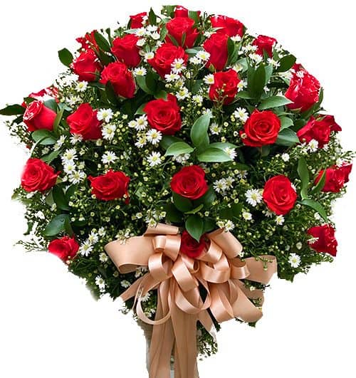 48 red rose in vase 500x531