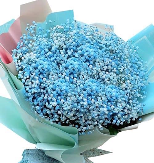 Blue Baby Breath's Flowers, Send Baby Breath's Flowers To Vietnam