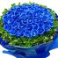 blue sky love saigonflowers 500x531