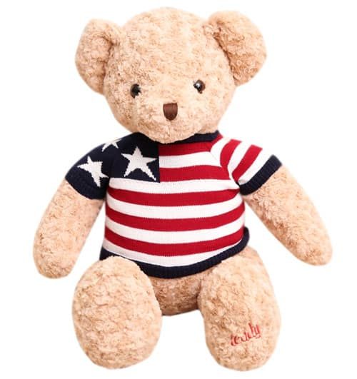 brown teddy bear 02 500x531