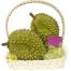 fresh durian basket 500x531