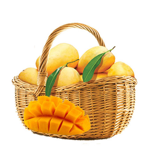 fresh mango basket 500x531