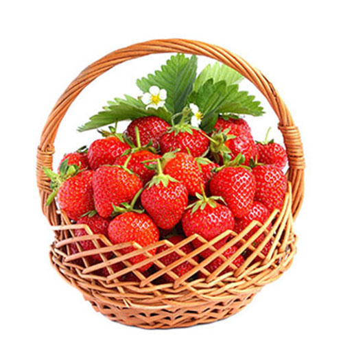 fresh strawberry basket 500x531