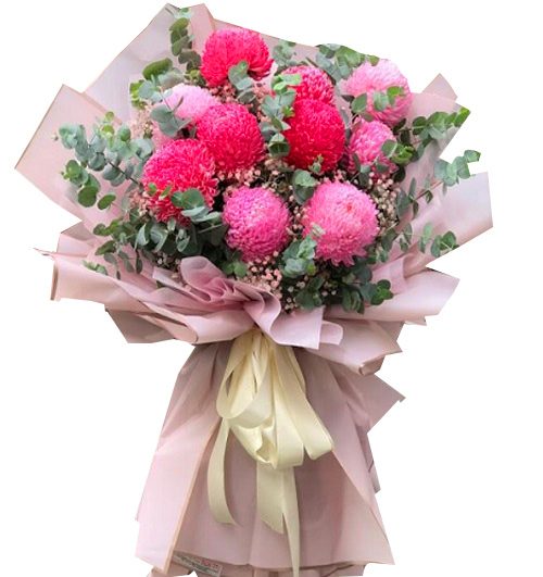 peony chrys flowers 012 500x531