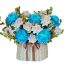 peony chrys flowers 016 500x531