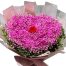 special pink baby breaths flowers 500x531