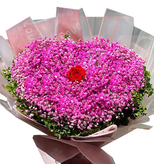 special pink baby breaths flowers 500x531