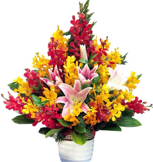 tet flowers 44a