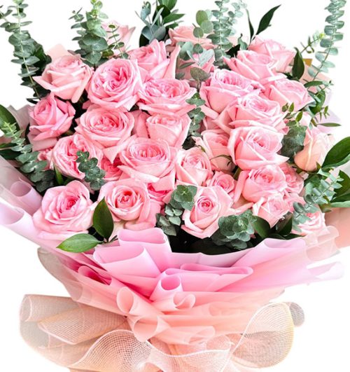 36 pink ohara roses womens day vietnam