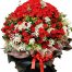 657 red roses