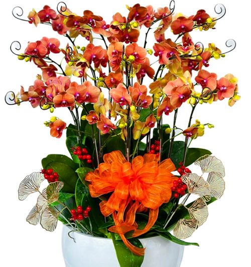 Orchids for Mom 22